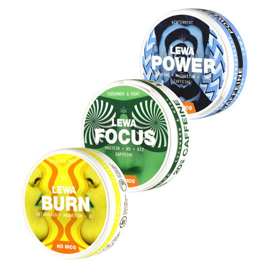LEWA of SWEDEN ENERGY PADS (3 PACKS / 60 PADS)